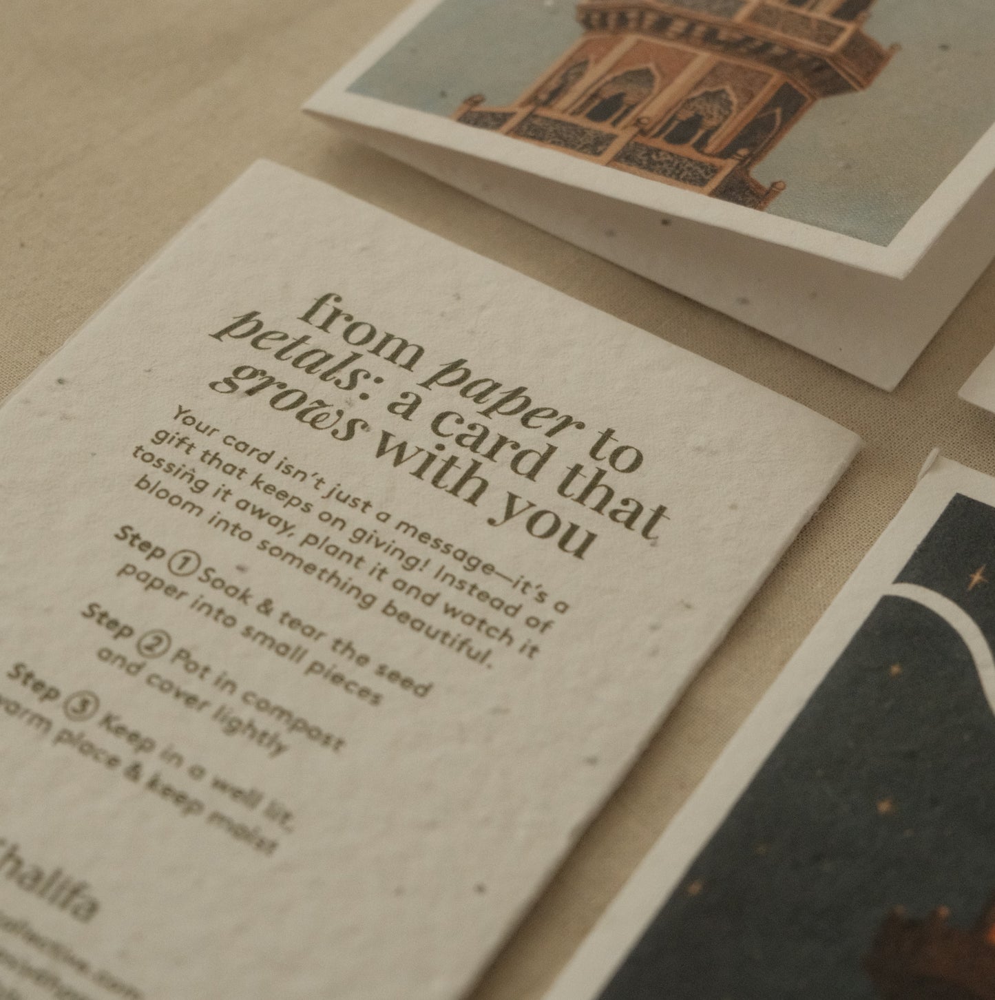 Plantable Wildflower Eid Cards | Minarets (SET OF 2)